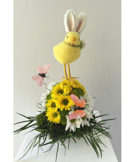 Springtime Whimsy