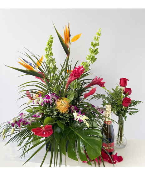 Tropical Love Bundle