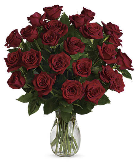 One dozen red roses in glass vase