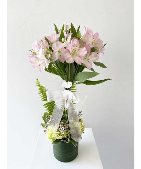 Alstroemeria Topiary