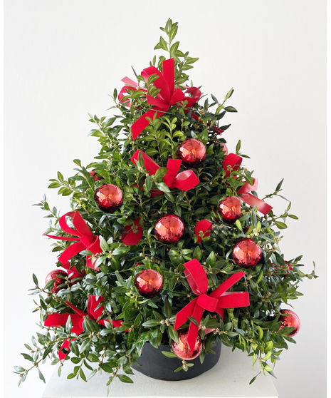 Deck the Halls