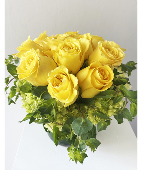 Bursting with Sunshine