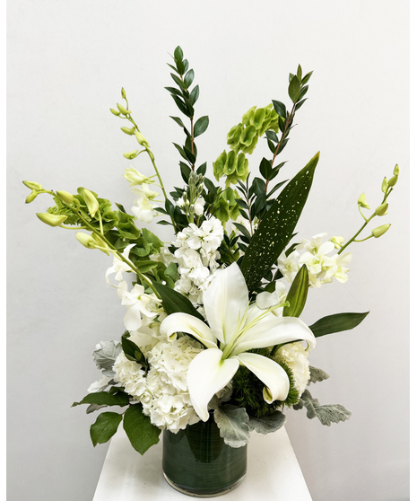 White hydrangea in a clear glass cylinder vase.