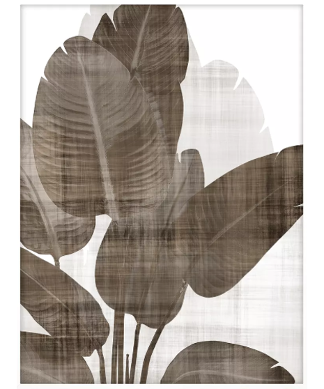 Earthy Palm