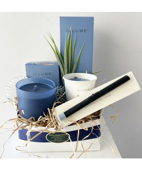 Illume Citrus Crush Gift Box