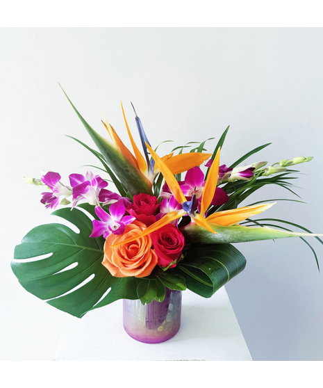 Iridescent Tropics