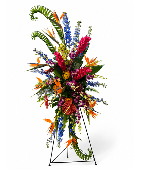 Sympathy & Funeral