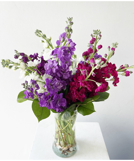 Get Well Flowers