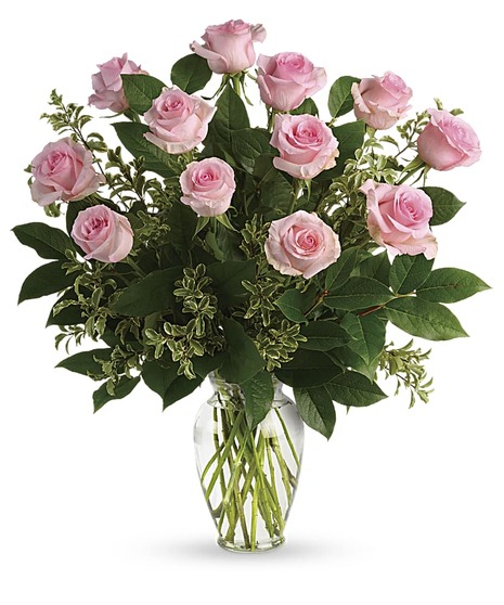 Pink Roses