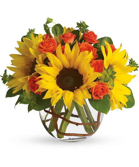 Smiling Sunflowers