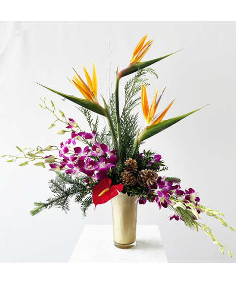 Tropical Breeze Winter