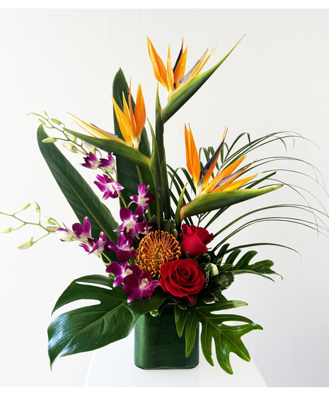 Tropical Designs