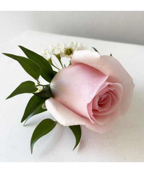 bright roses