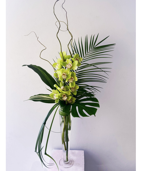 Seaside Cymbidiums