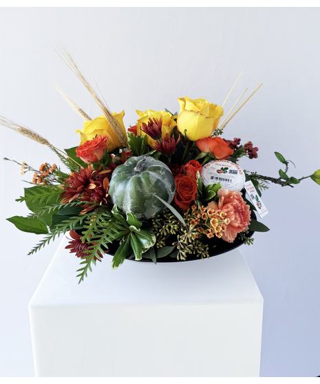 Fall Figalicous