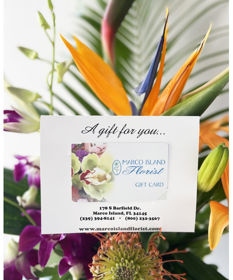 E-Gift Card $300