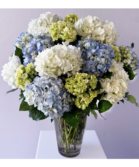 Hydrangea in shades of white, blue and pink in a glass vase.