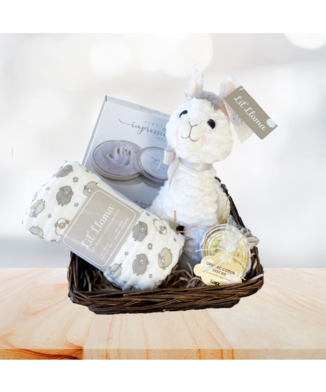 Baby Gifts With International Delivery