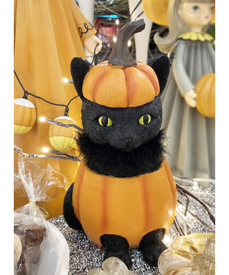 Pumpkin Kitty