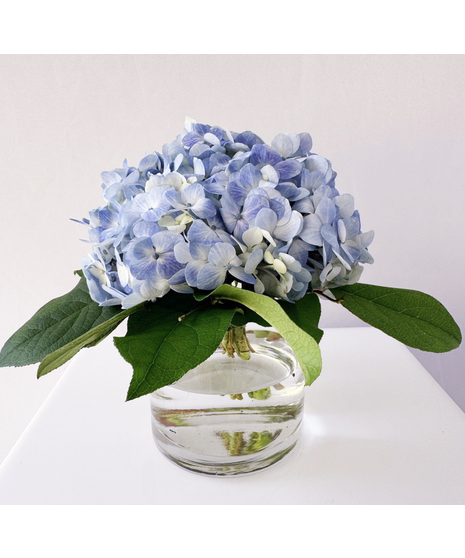 Hydrangea Cylinder Centerpiece