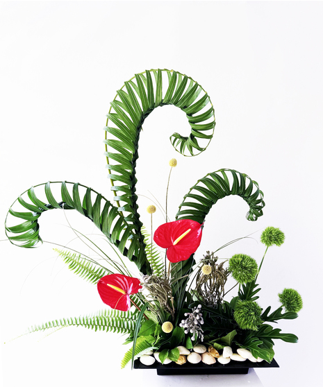 Tropical Twist