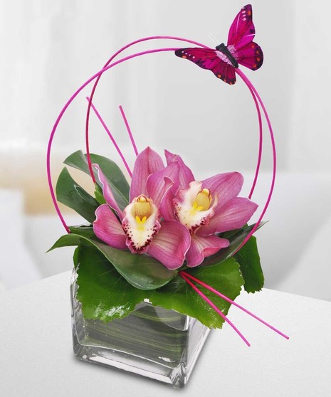 Orchid Sphere