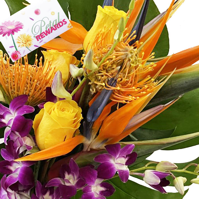 A sprouting flower with bright, colorful petals